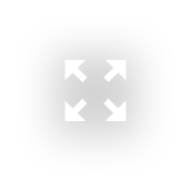 Zoom icon